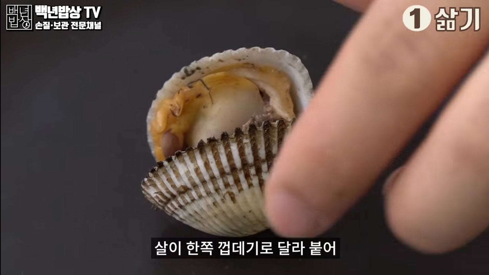 꼬막 삶기