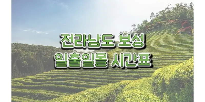 전라남도-보성-지역-2023년-일출-일몰-시간표-썸네일