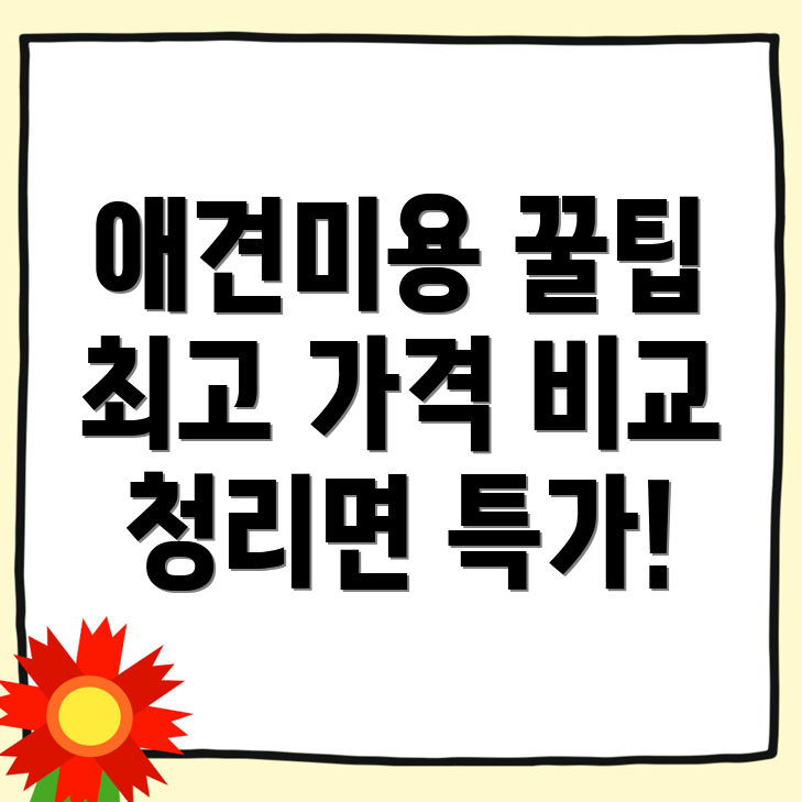 상주시 청리면 애견미용
