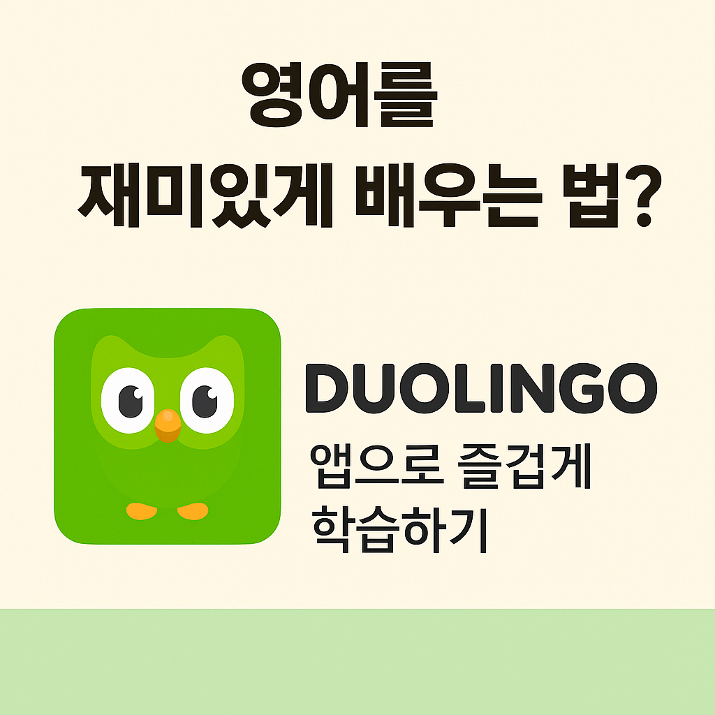 영어회화 어플 듀오링고(Duolingo)