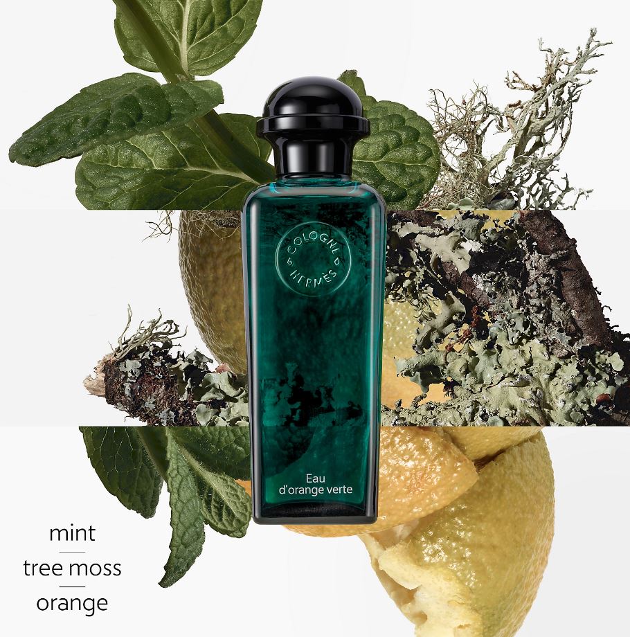 오 도랑주 버트 컨셉