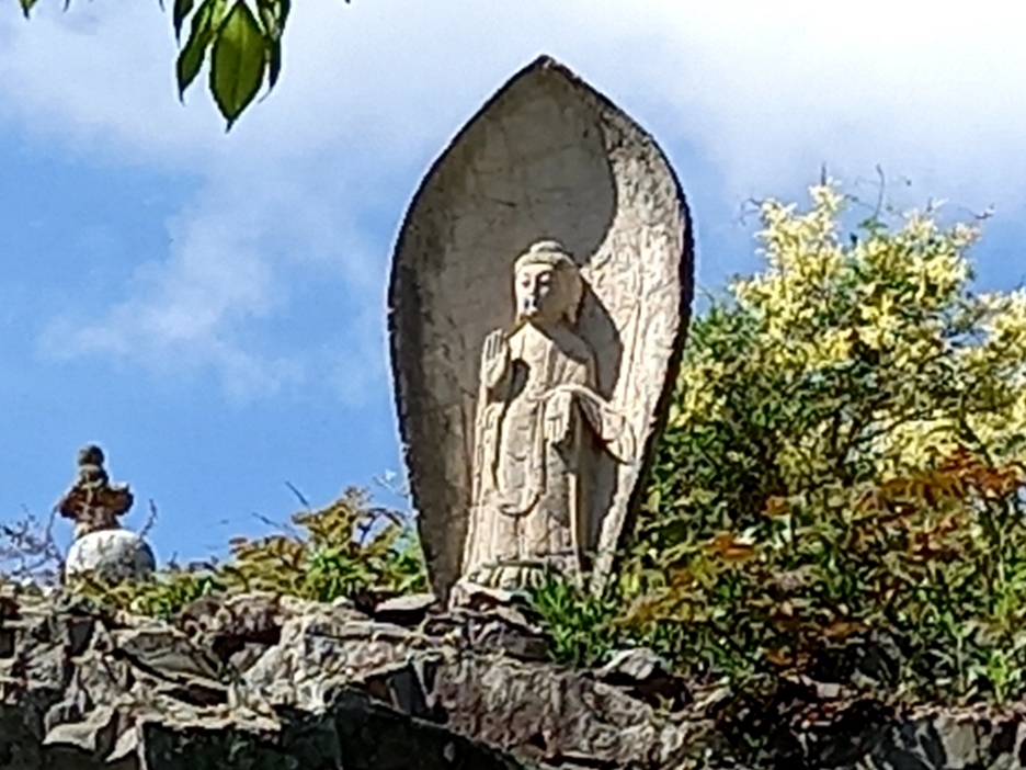 img.jpg