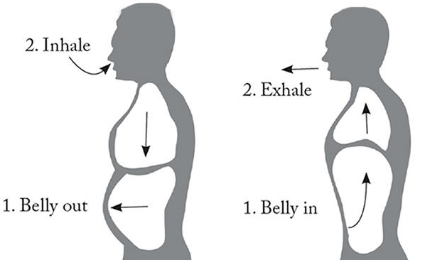 왼쪽 그림은 흡기시 배가 나오고 횡격막이 아래로 내려가는 모습, 오른쪽 그림은 호기 시 배가 들어가고 횡격막이 위로 올라가는 모습으로 적절한 복식호흡의 모습을 보여준다.