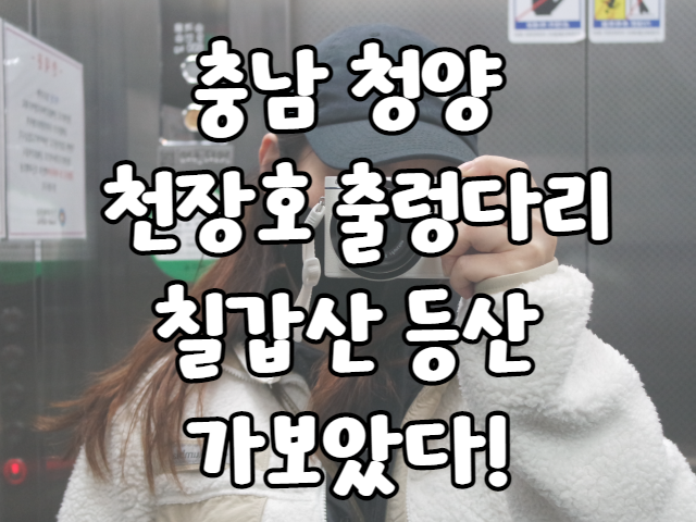 충남 청양 천장호출렁다리 칠갑산 등산행
