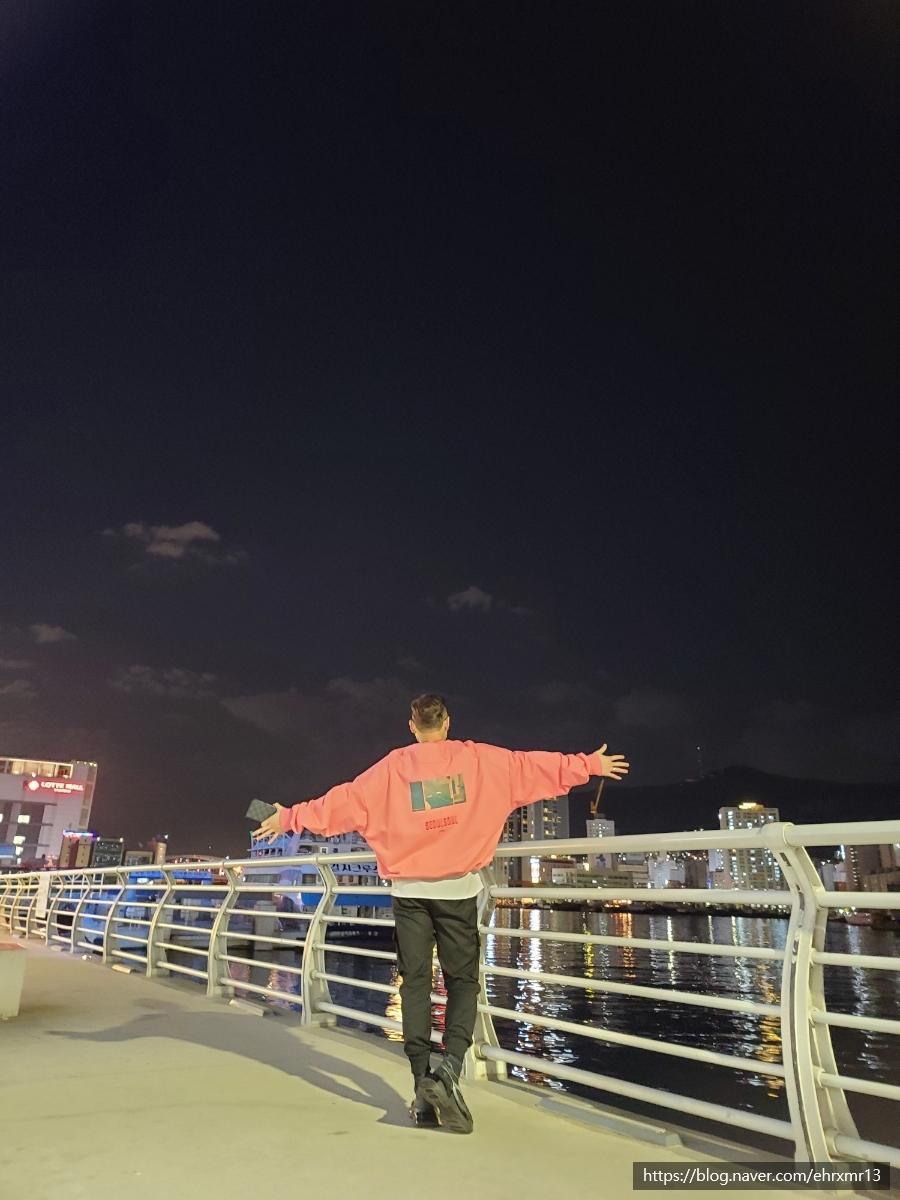 자갈치시장. 모두 싸게는 아니지만 신선함은 보장! (feat. 황령산 봉수대 야경) 부산 볼거리 :: 골라먹는 해산물 축제 7