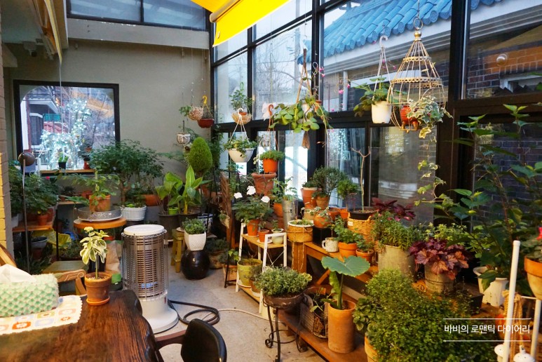 전주 애견카페전주 중화산동 카페