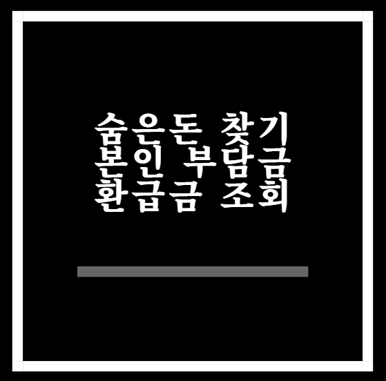  병원을 가셨다면 꼭 확인해야할! 본인 부담금 환급금 조회 알아보기