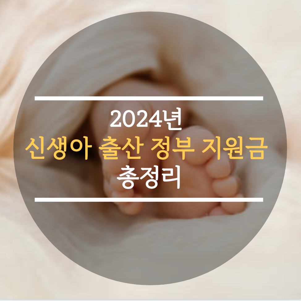  2024년 신생아 출산 정부 지원금 총정리