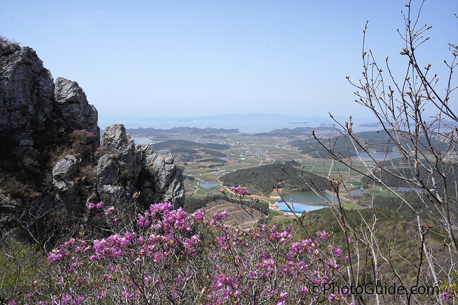 달마산