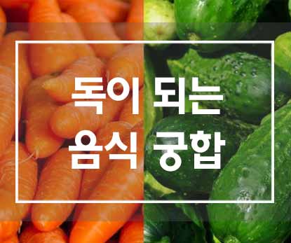  함께 먹으면 독이 되는 음식궁합