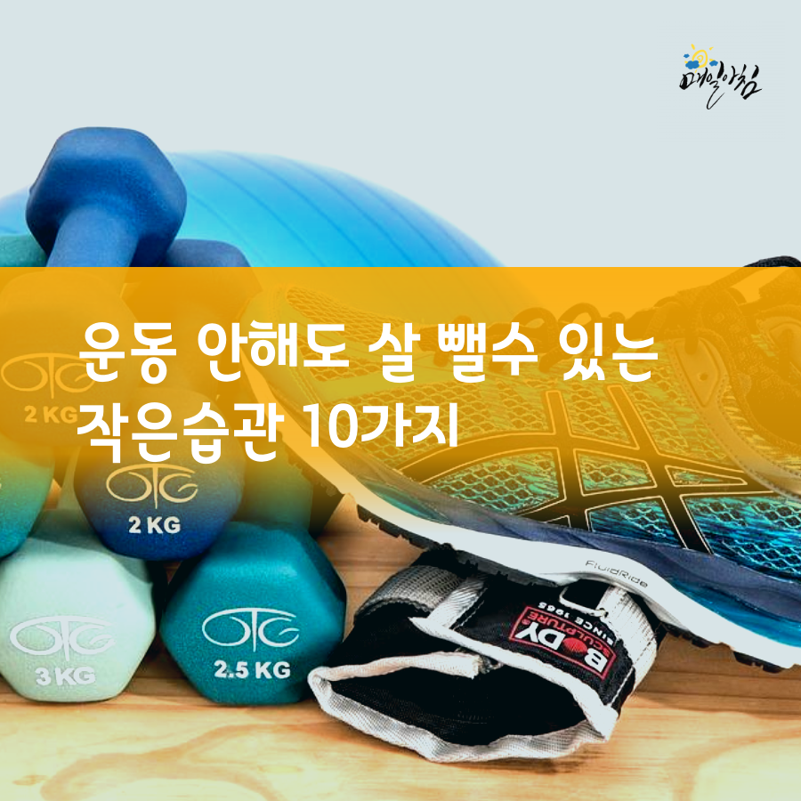  [매일아침좋은글] 운동 안해도 살 뺄수 있는 작은습관 10가지
