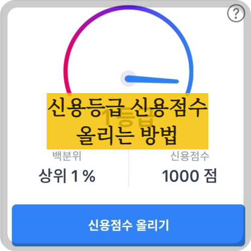 신용등급