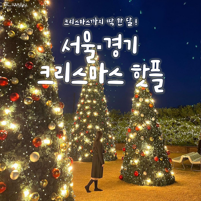 크리스마스 핫플
