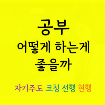  갈마동 수학과외 탄방동 영어과외 일대일 중등 고등 예비중 예비고 국어 과학 한국사 물리과외 시험 내신관리