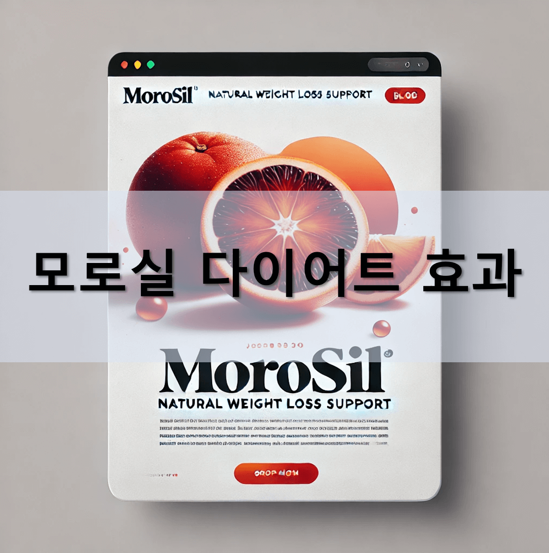 모로실 효능알아보기