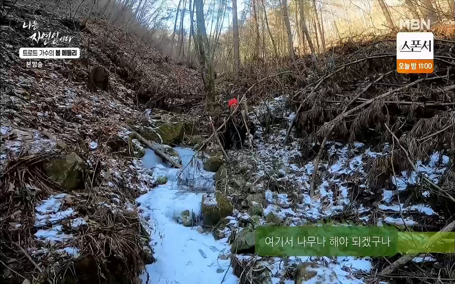 나는 자연인이다.E494.220323p.H264-F1RST.mp4_20220324_183838.071.jpg