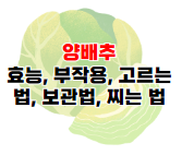 브로콜리 효능과 부작용 및 데치기&#44; 씻는 방법