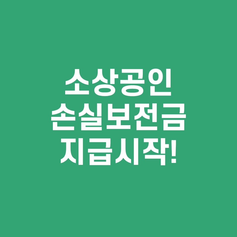 소상공인 손실보전금 지급시작 핵심내용 신청방법 지원금액