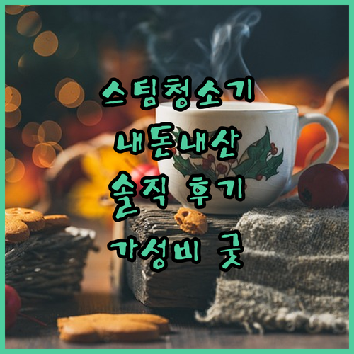 가성비 스팀청소기 추천 내돈내산 후기