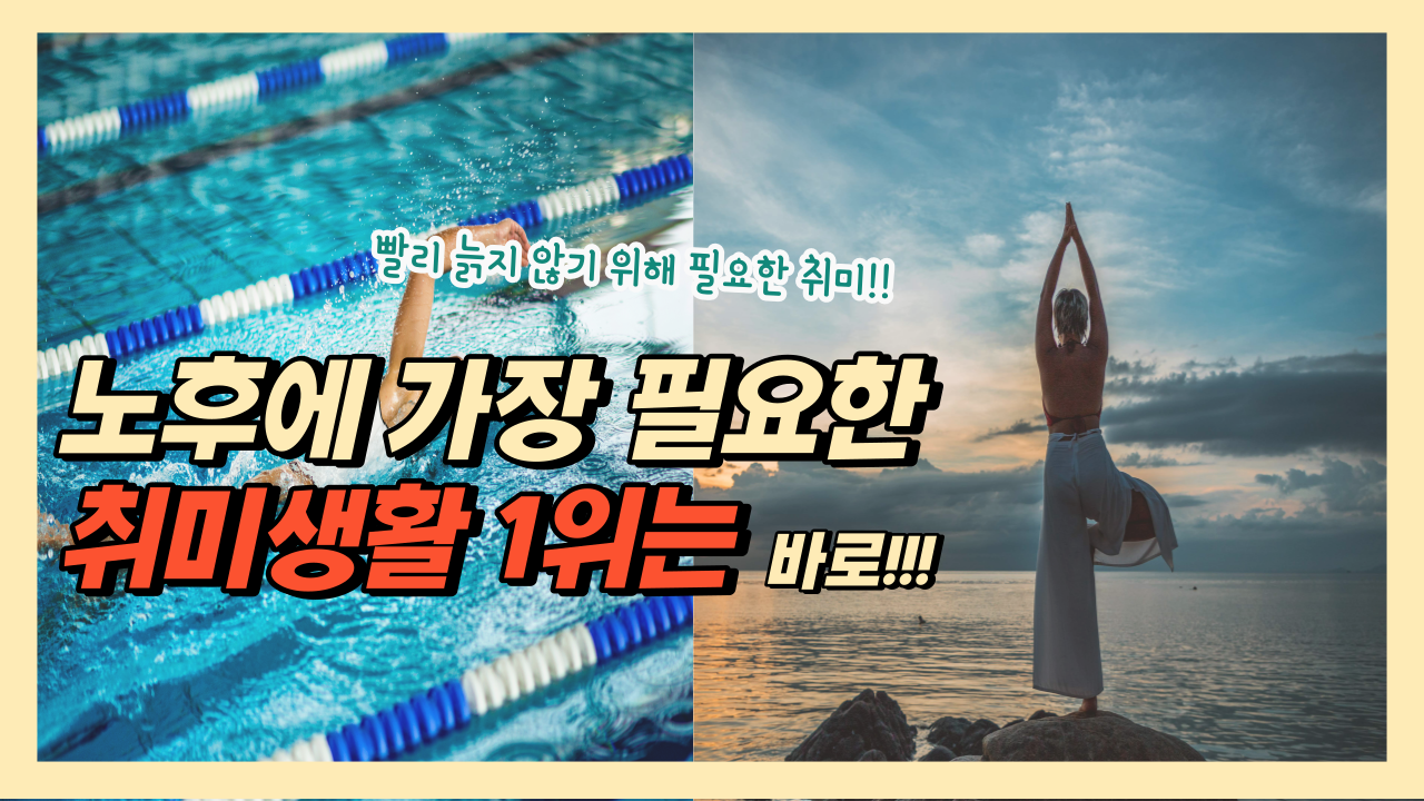  노후에 가장 필요한 취미생활 1위 - 돈 안 들이면서 오래할 수 있는 시니어 취미