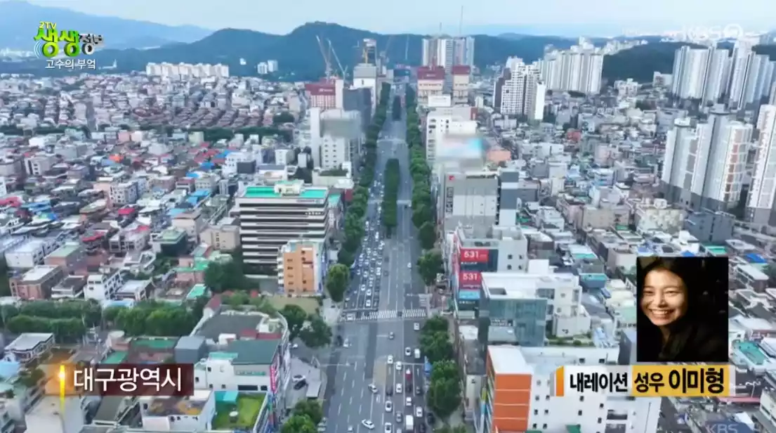 대구