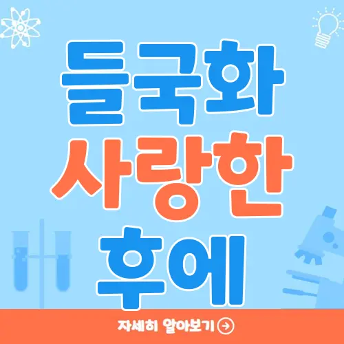 들국화 사랑한 후에