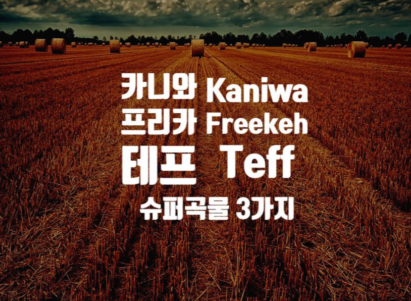  카니와, 프리카, 테프 : 시중에서 구하기 힘든 슈퍼 곡물 (Kaniwa, Freekeh, Teff)