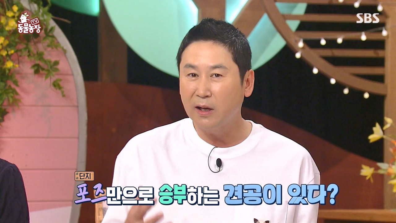 TV 동물농장.E1134.230821p-NEXT.mp4_20230820_193336.127.jpg