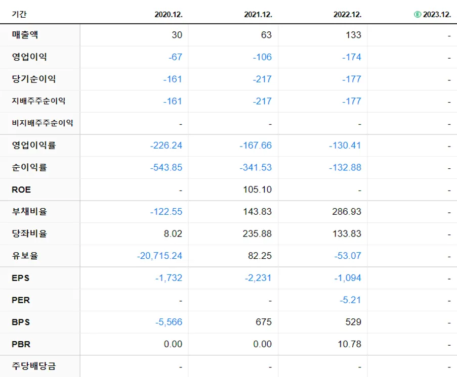 플라즈맵 재무제표