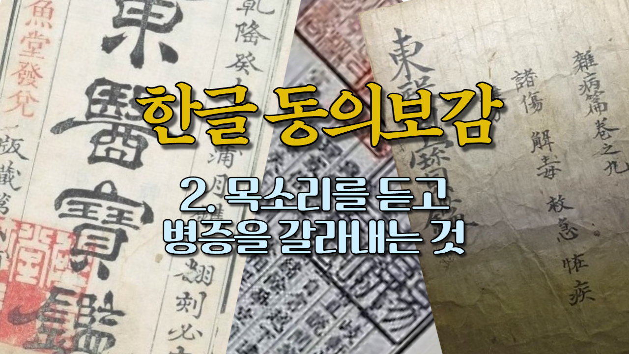  2. 목소리를 듣고 병증을 갈라내는 것 (내경편 목소리)
