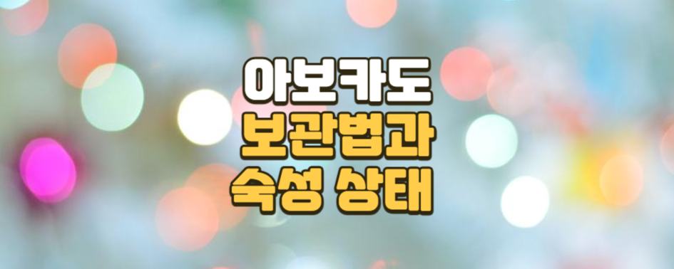아보카도 보관법과 숙성 상태 확인 팁