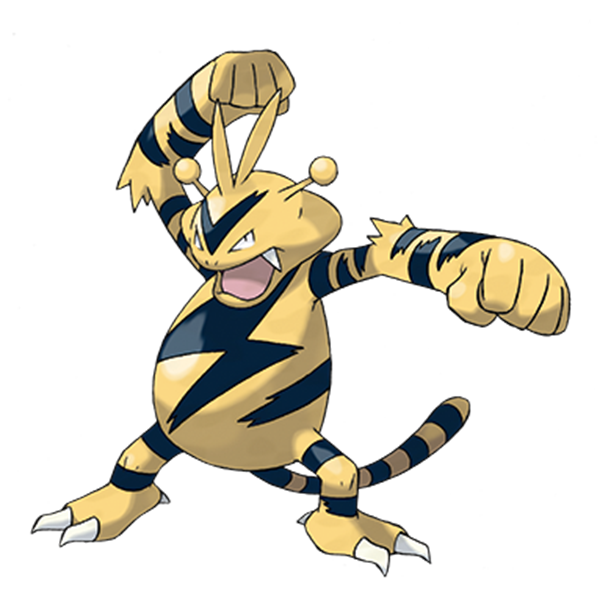  [포켓몬도감]  No. 125 에레브 Electabuzz #125