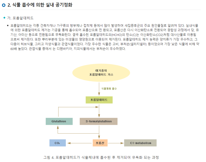 식물흡수에 의한 실내 공기정화