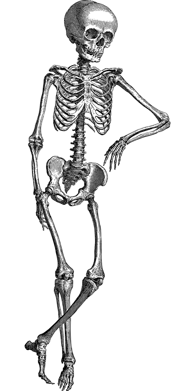 꼬리뼈 통증