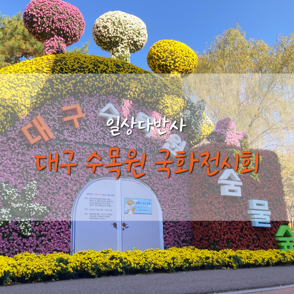  대구 수목원 국화전시회 사진 여기 다 있어요!