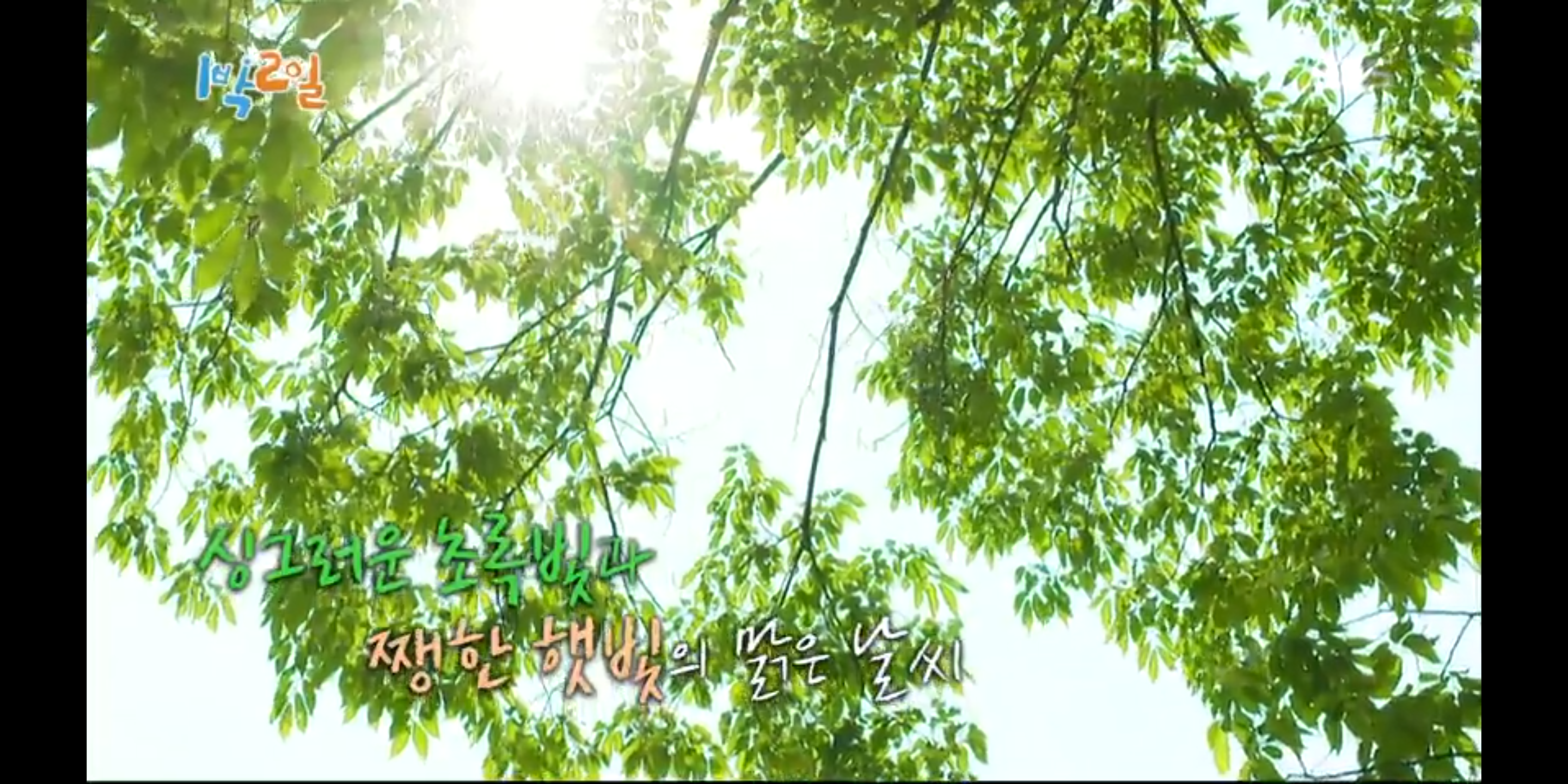  29. 1박2일 시즌4 강원 영월 진국체전