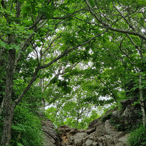 블랙야크 100대 명산, 경남 산청군 지리산 천왕봉 환경교육원(로타리 대피소) 원점회귀 최단코스 - 블랙야크 100대 명산, 경남 산청군 지리산 천왕봉 - 🥾 등산시작 블랙야크 100대 명산, 경남 산청군 지리산 천왕봉 환경교육원(로타리 대피소) 원점회귀 최단코스 - 블랙야크 100대 명산, 경남 산청군 지리산 천왕봉 - 🥾 등산시작