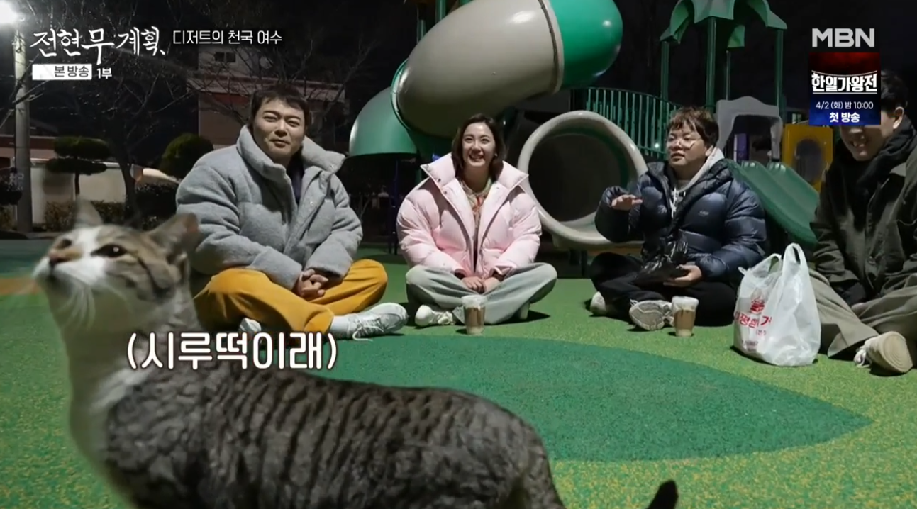 고양이 출연