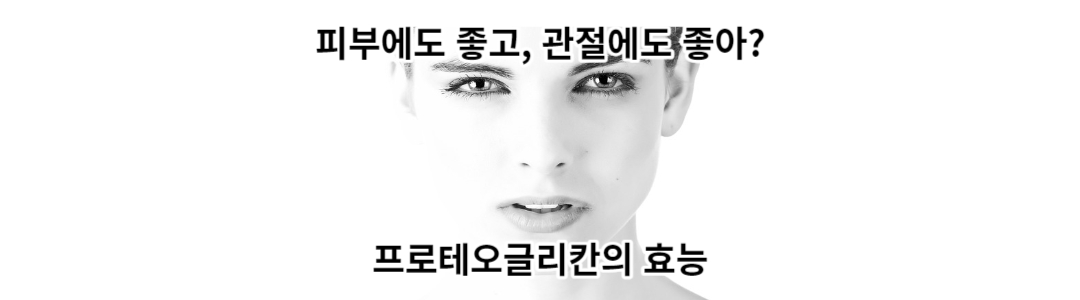  프로테오글리칸의 효능과 제품 추천 : 피부에도 좋고? 관절염에도?