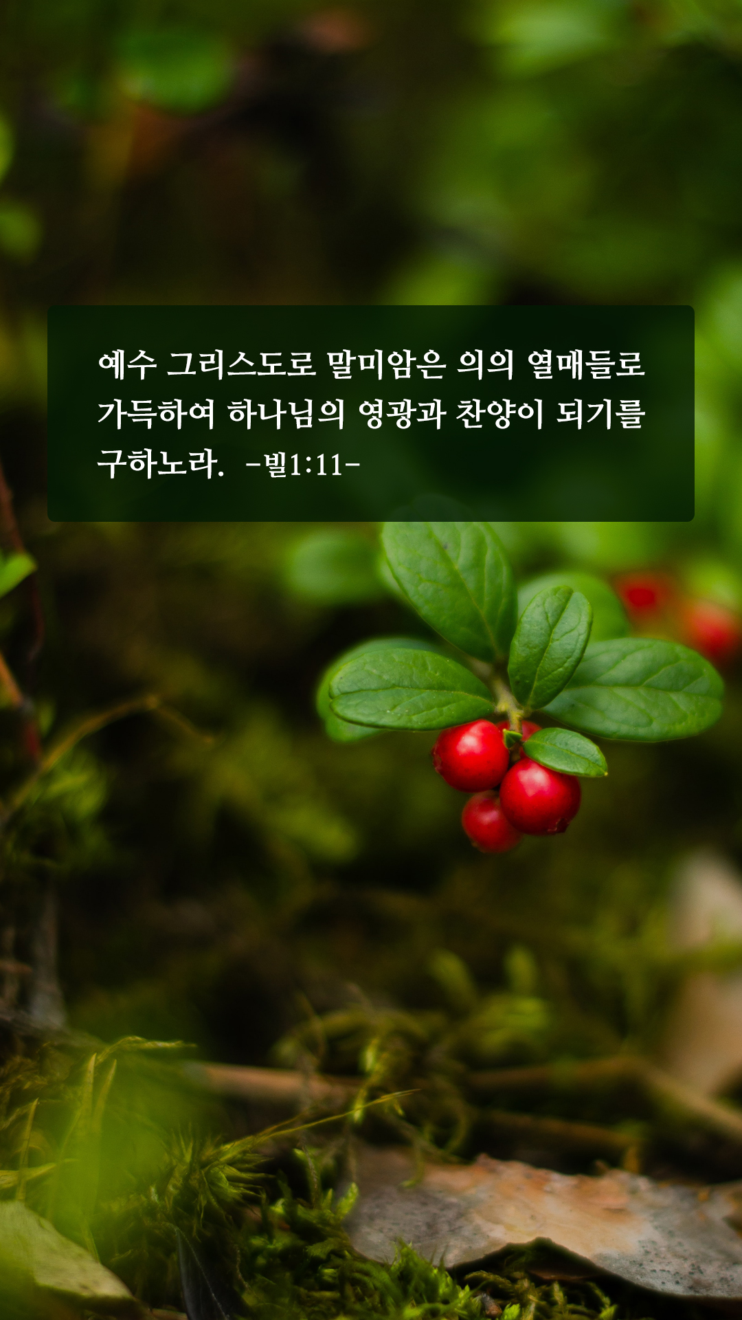 좋은 성경구절