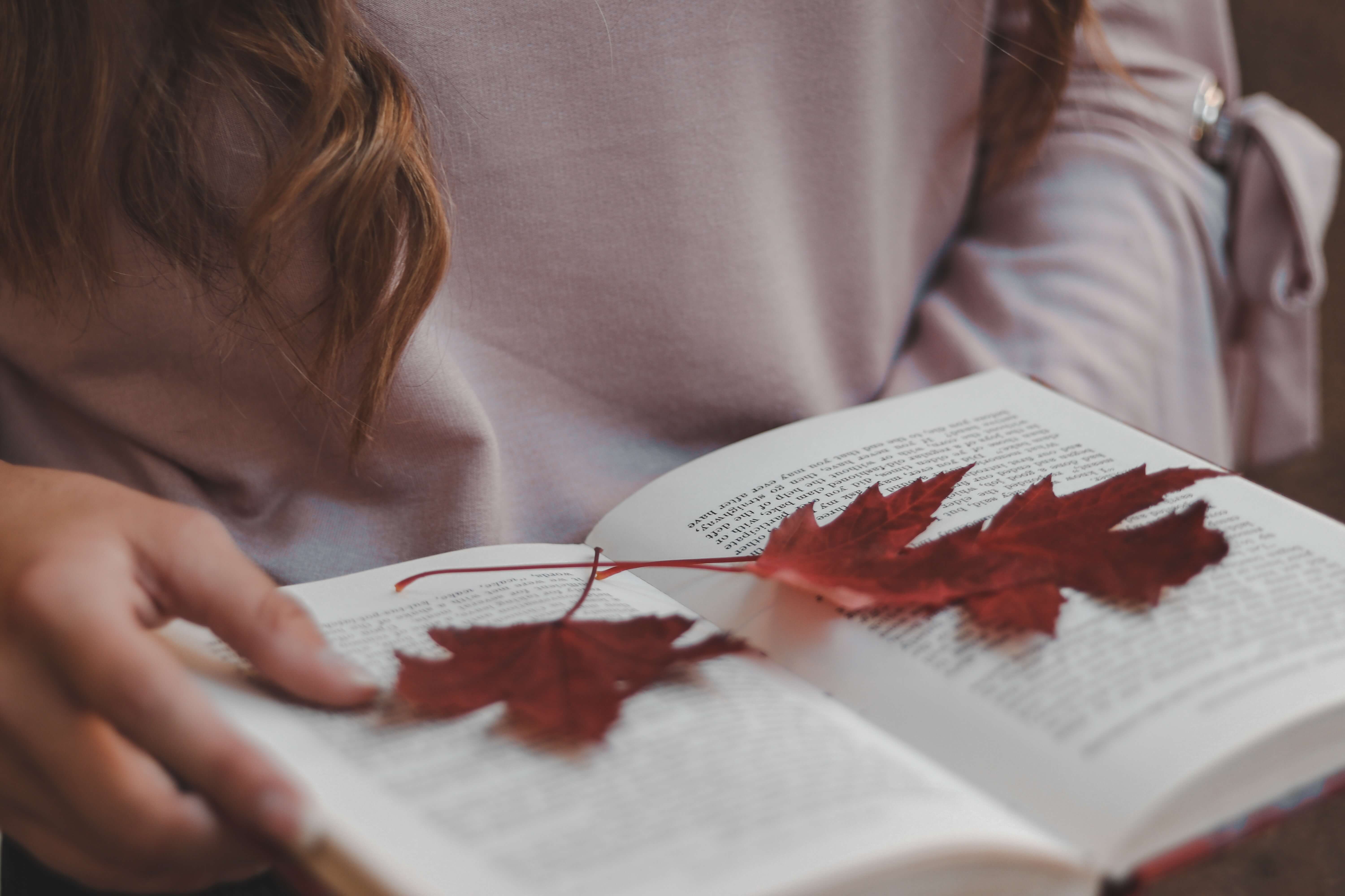 가을에 독서하는 사람