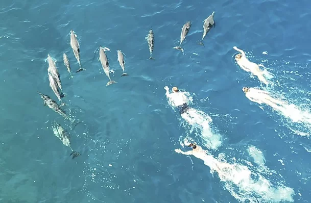 26일(현지 시각) 하와이 빅아일랜드 앞바다에서 관광객들이 스노클링을 하며 돌고래 떼를 쫓아다니고 있다