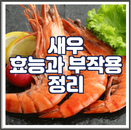  새우 효능과 부작용 정리