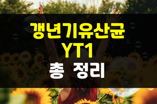  갱년기유산균 YT1 모든 것 총정리: 효능과 부작용, 섭취량 (광고X)