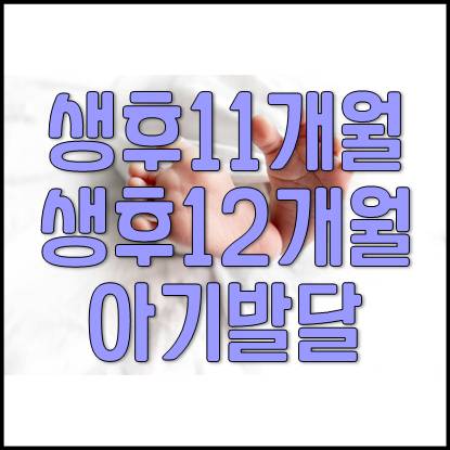  생후 11개월 12개월 아기 성장 발달 과정 및 육아(평발, 이유식, 배변)