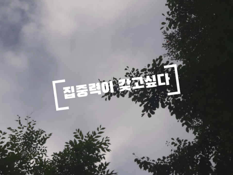  집중력이 갖고싶다.