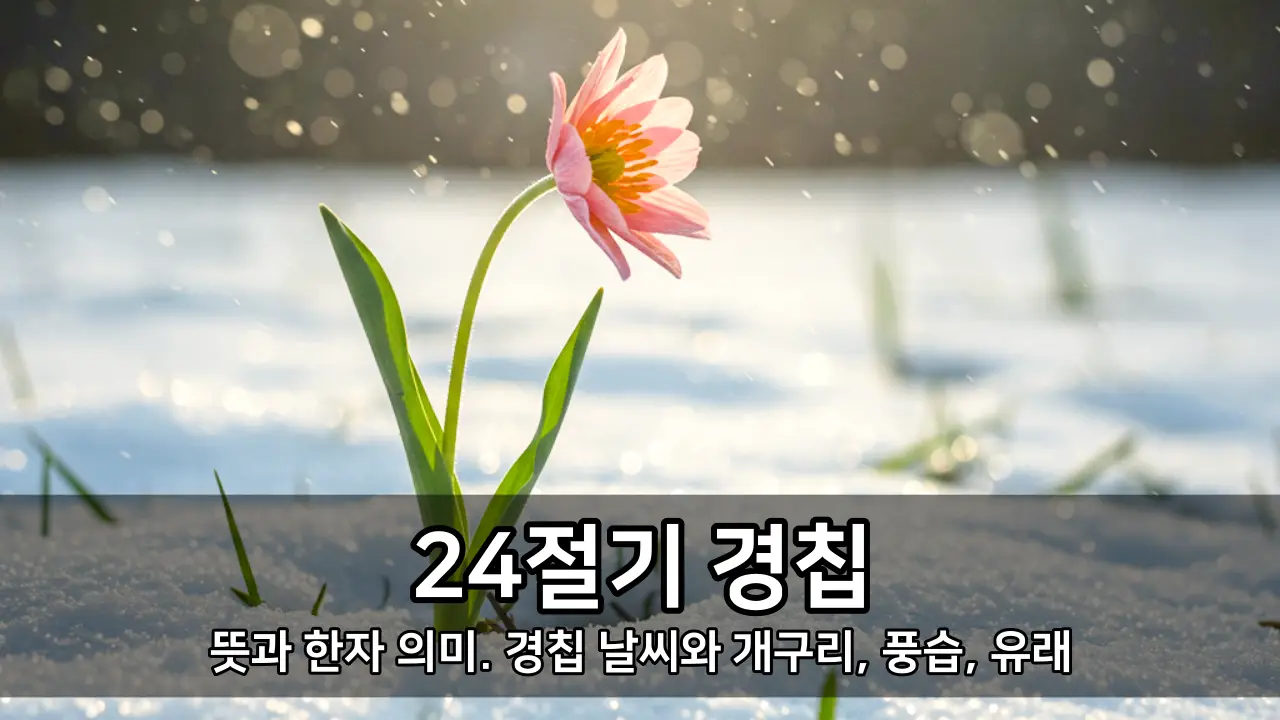 24절기 경칩 - 뜻과 한자 의미. 경칩 날씨와 개구리, 풍습, 유래