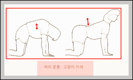 허리 운동 고양이 자세