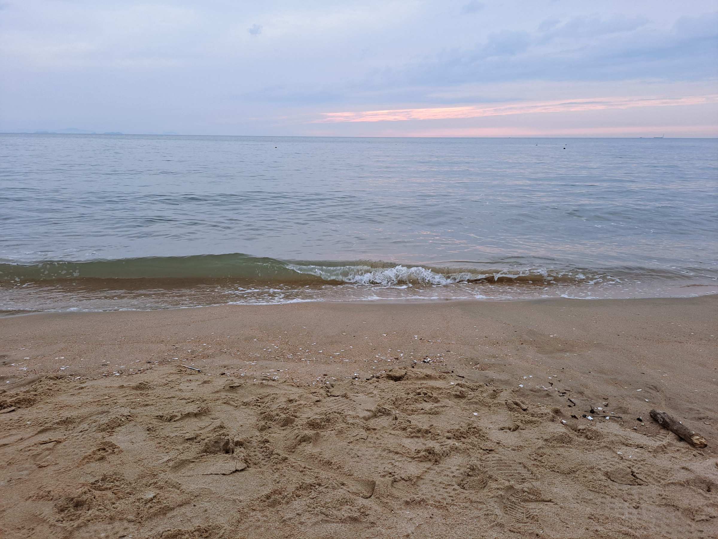 은은한 붉은빛이 돌다