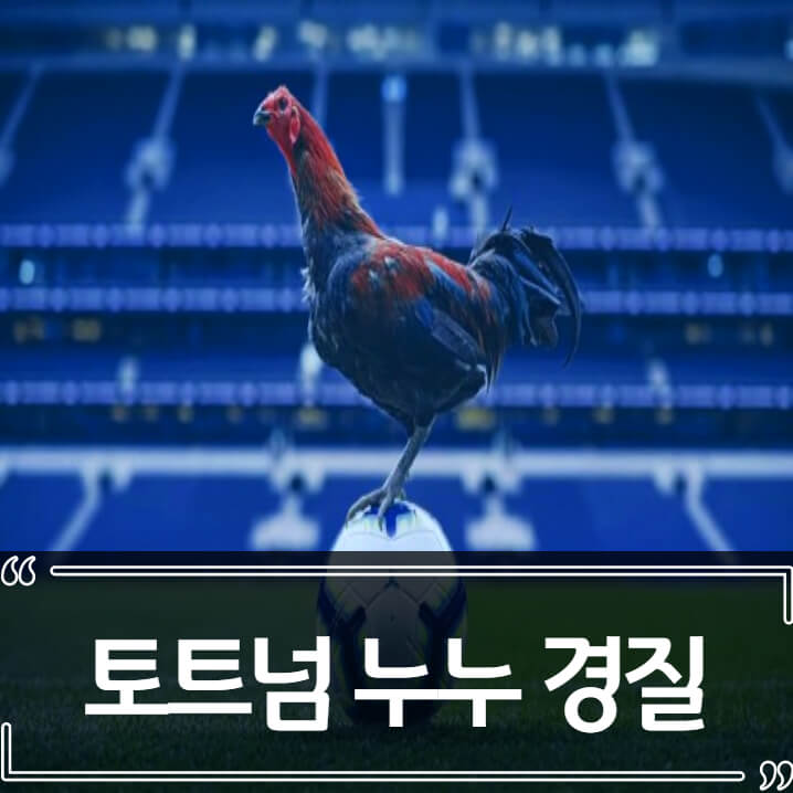  토트넘 누누 감독 경질, 후임은 콘테